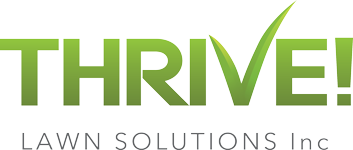 THRIVE! (STAGING SITE) Logo